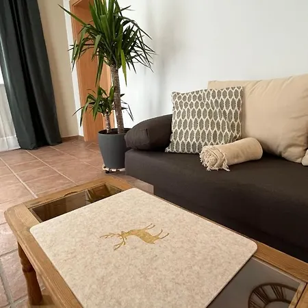 Apartament Broschek *