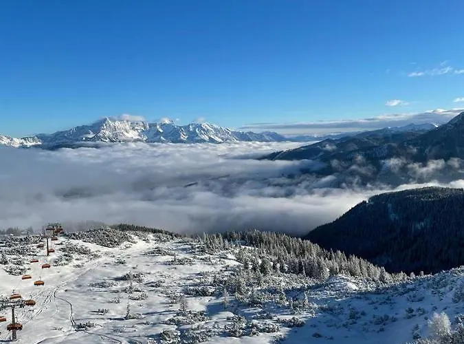 Broschek Apartment Flachau