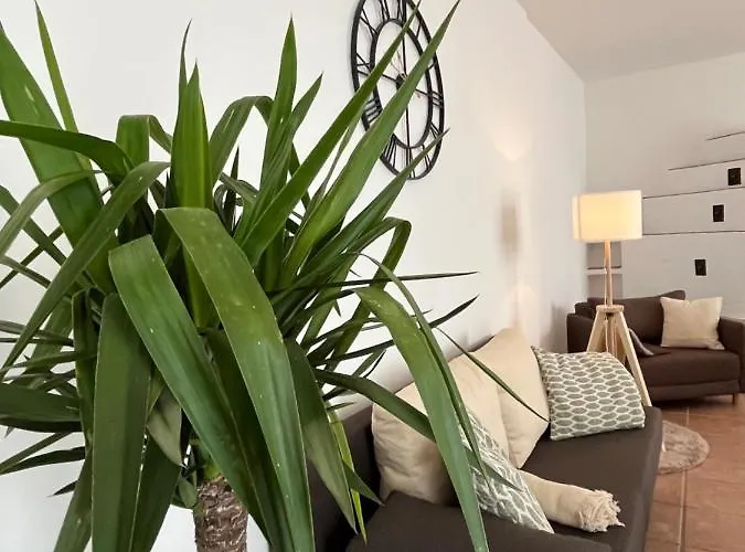 Broschek Флахау